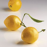 Форма силиконовая двойная "Лимон" d53мм h70мм, 85мл, 8 ячеек