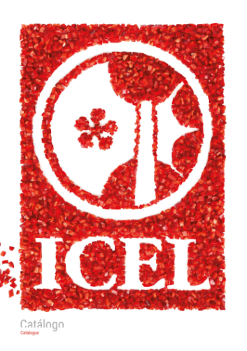 ICEL 2021 PDF (26,5 MB)