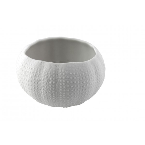 Салатник "Морской ёж" d6,5/8см h3,5см, Mediterranean textures Салатник "Морской ёж" d6,5/8см h3,5см, Mediterranean textures