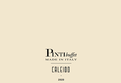 CALEIDO 2020 PDF (6 MB)